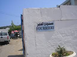 fourriere-municipal