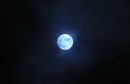 blue_moon-807736