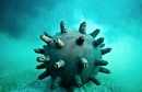 underwater-scultpre-naval-mine
