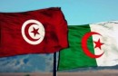 تونس الجزائر12