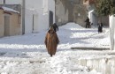 TUNISIA-SNOW