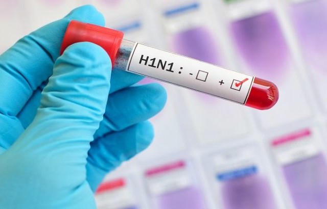 H1N1-ROUGE-e1549020212722-730x410