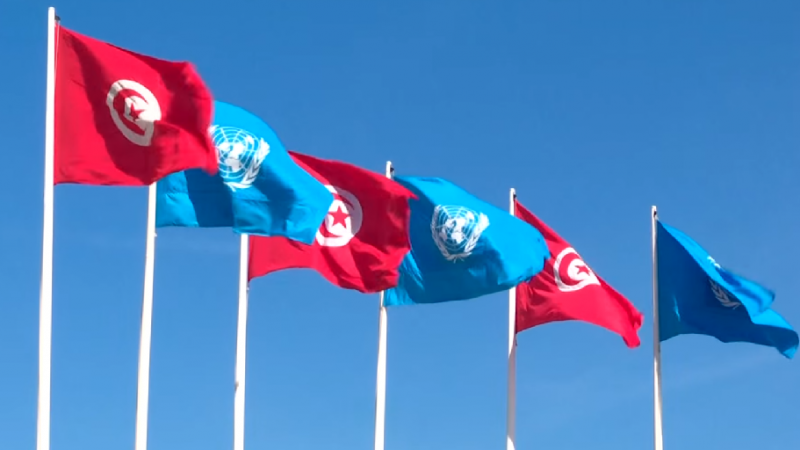 تونس - الامم المتحدة