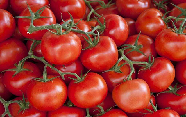 tomate 000